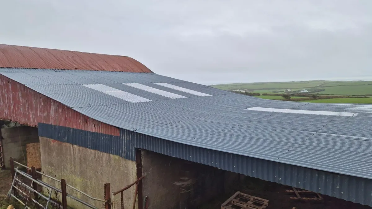 Cork Farm Painters & Shed Repairs - Image 4