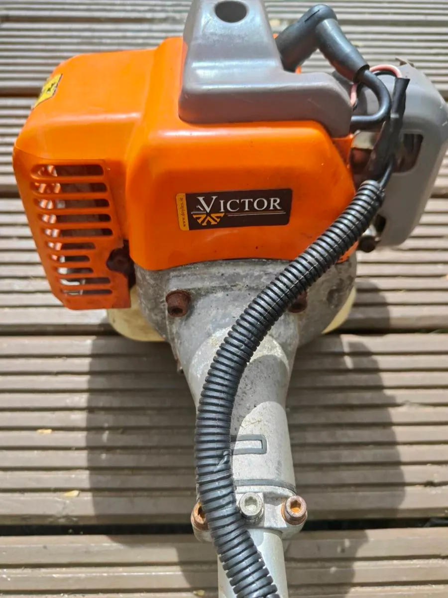 Strimmer Victor - Image 2