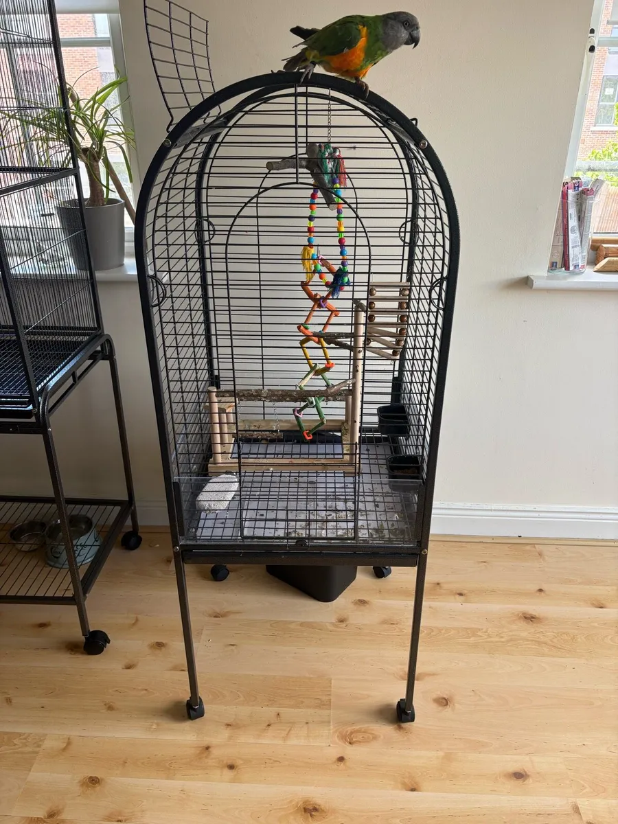 Bird cage/Parrot cage - Image 1