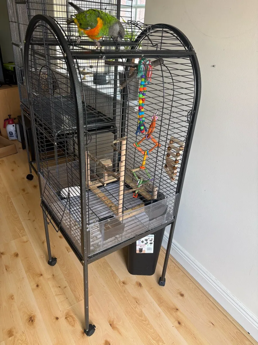 Bird cage/Parrot cage - Image 2