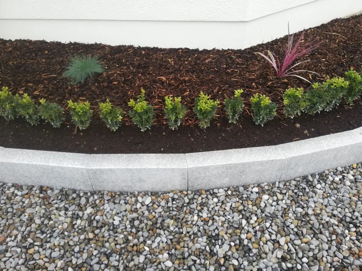 Box Hedging - Image 1