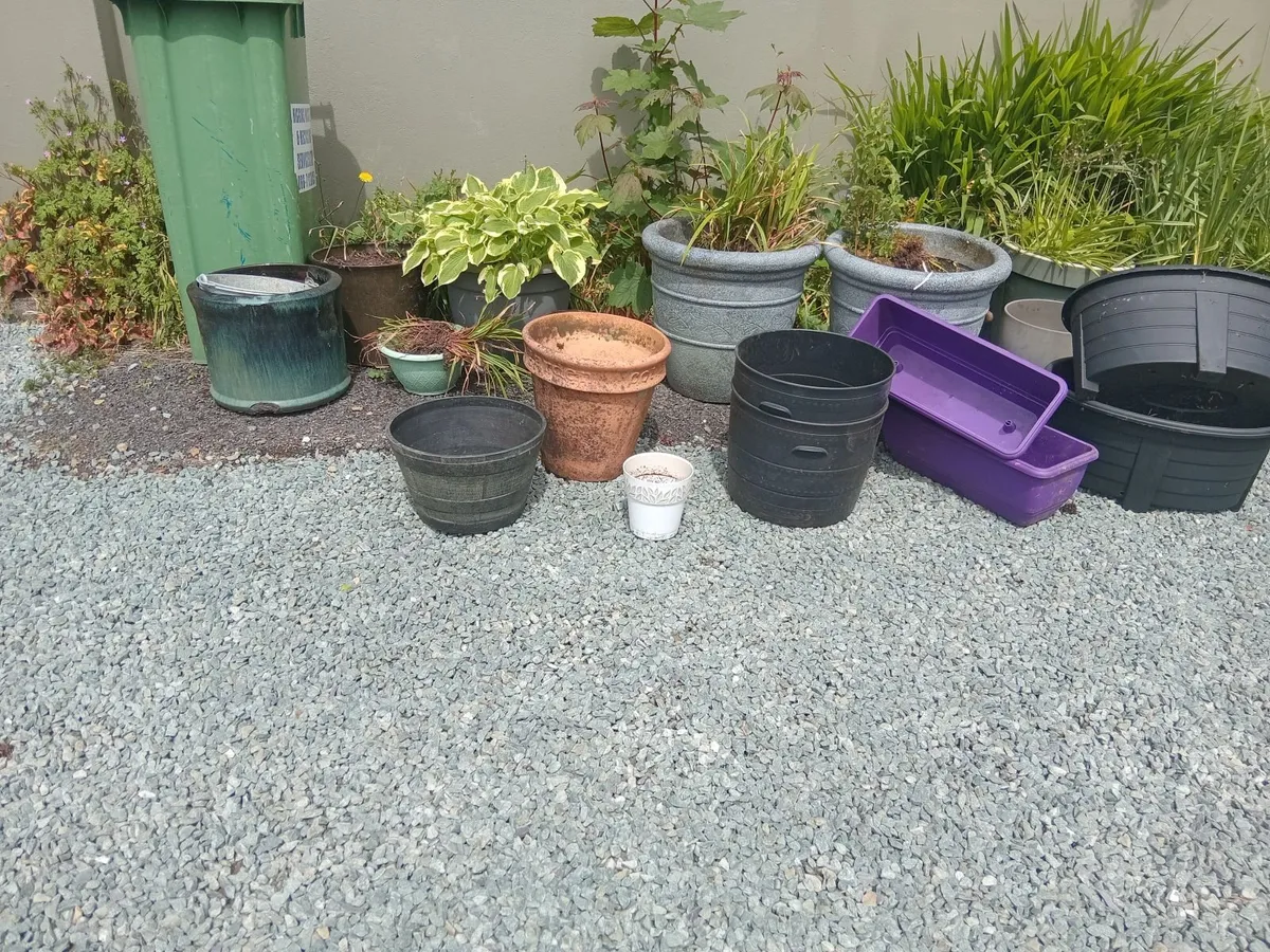 Flower pots - Image 3