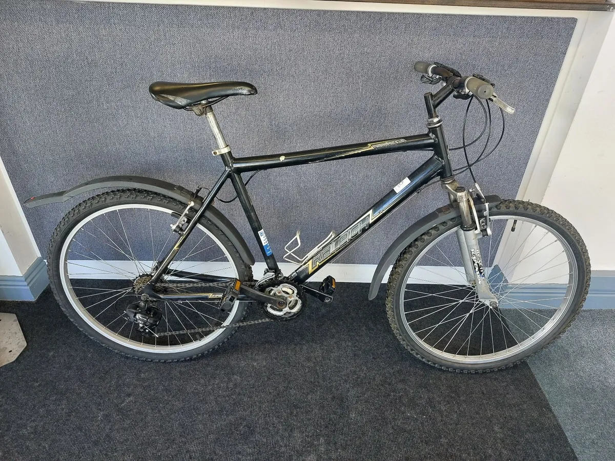 Raleigh Hybrid - Image 1