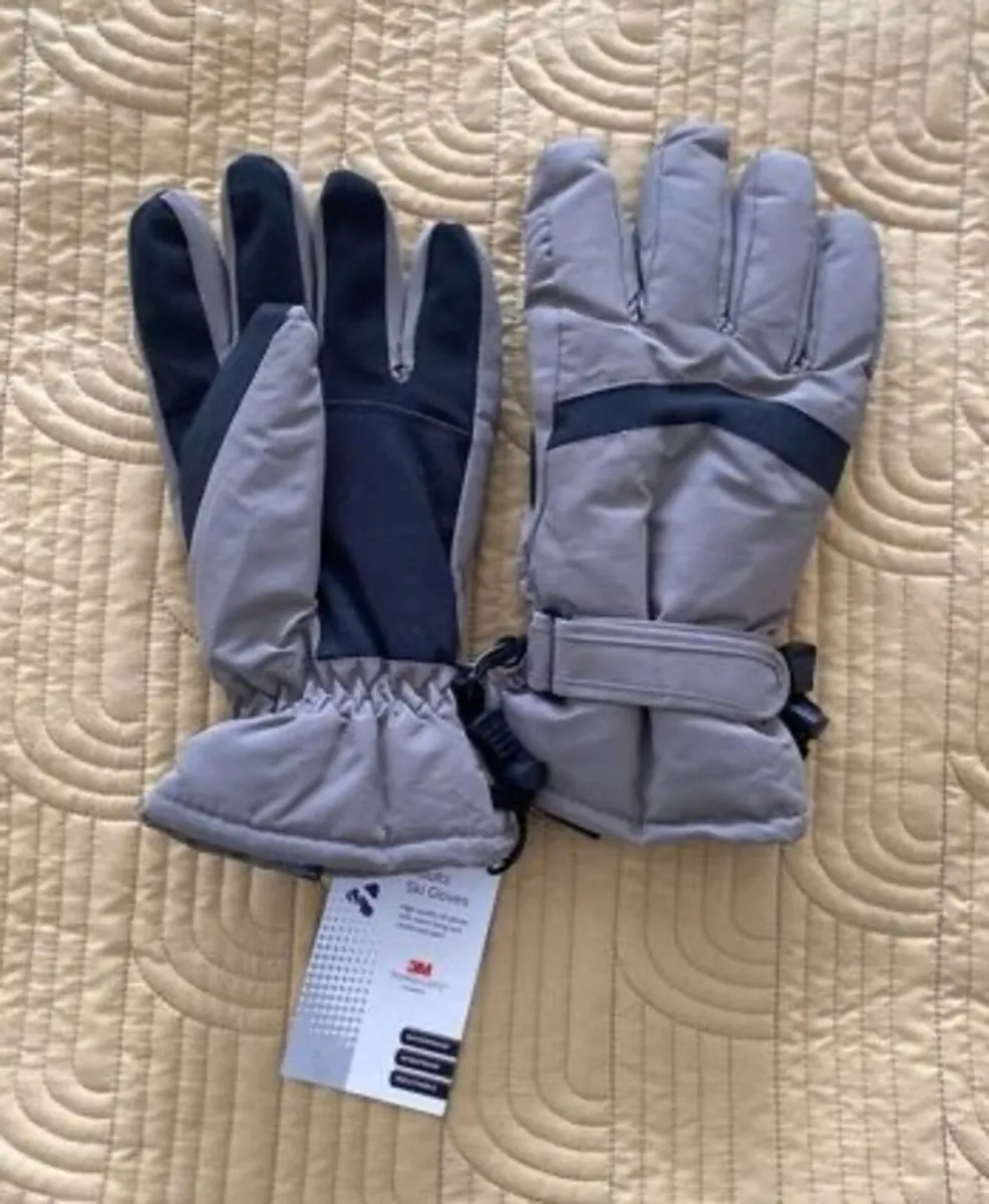 Adult Ski gloves - Image 1