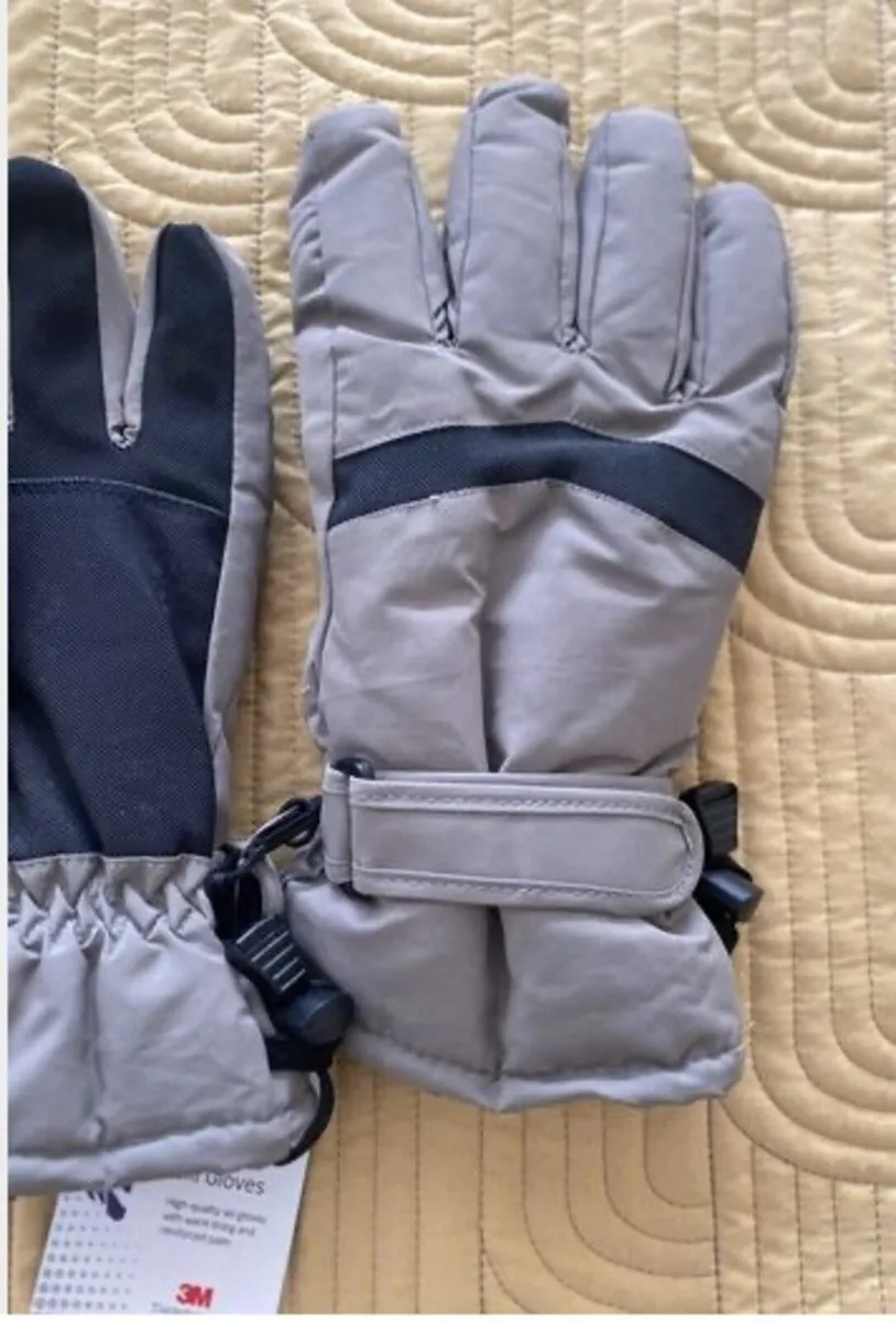 Adult Ski gloves - Image 3