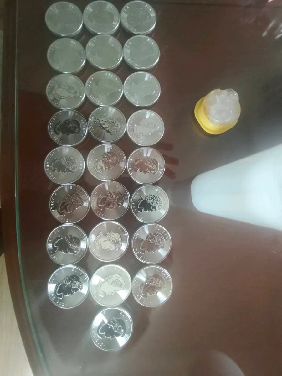 Silver 1oz Canada maple leaf coins - Image 3