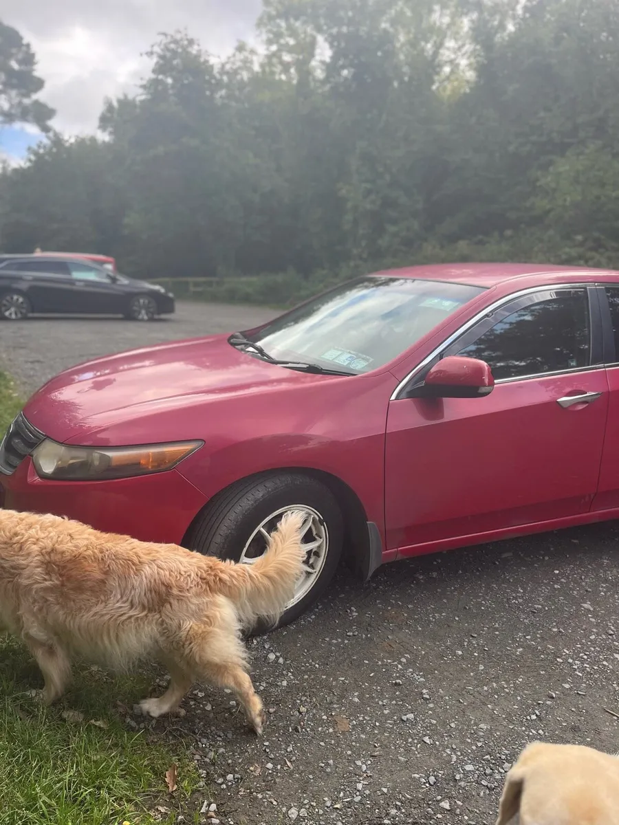 Honda Accord - Image 4