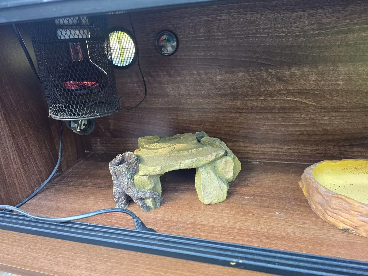 Reptile Habitat - Image 2