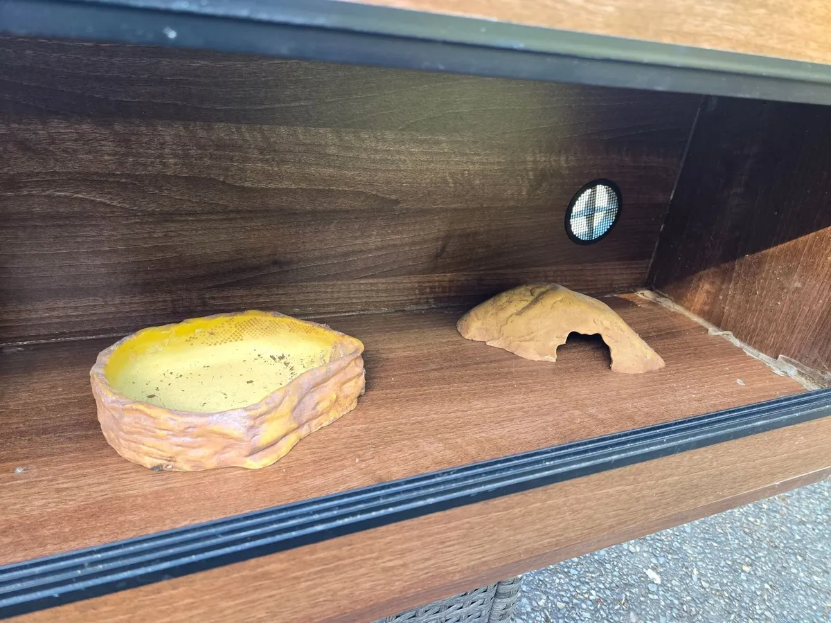 Reptile Habitat - Image 3