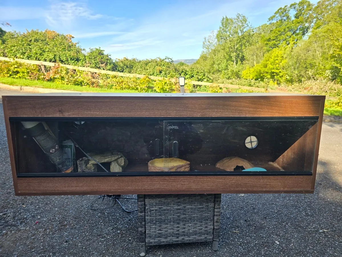 Reptile Habitat - Image 4