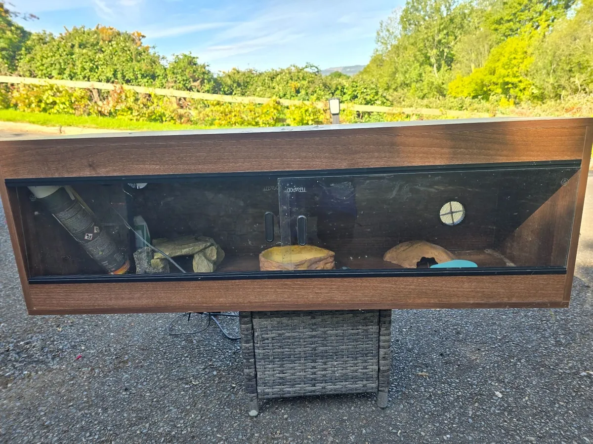 Reptile Habitat - Image 1