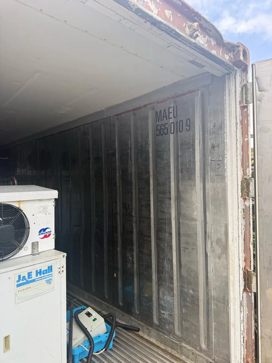 Freezer Container - Image 4