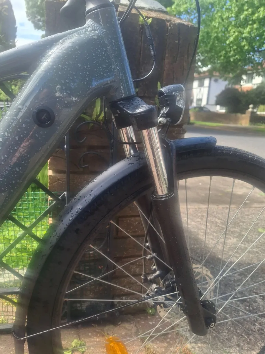 Electric Bike - Image 2