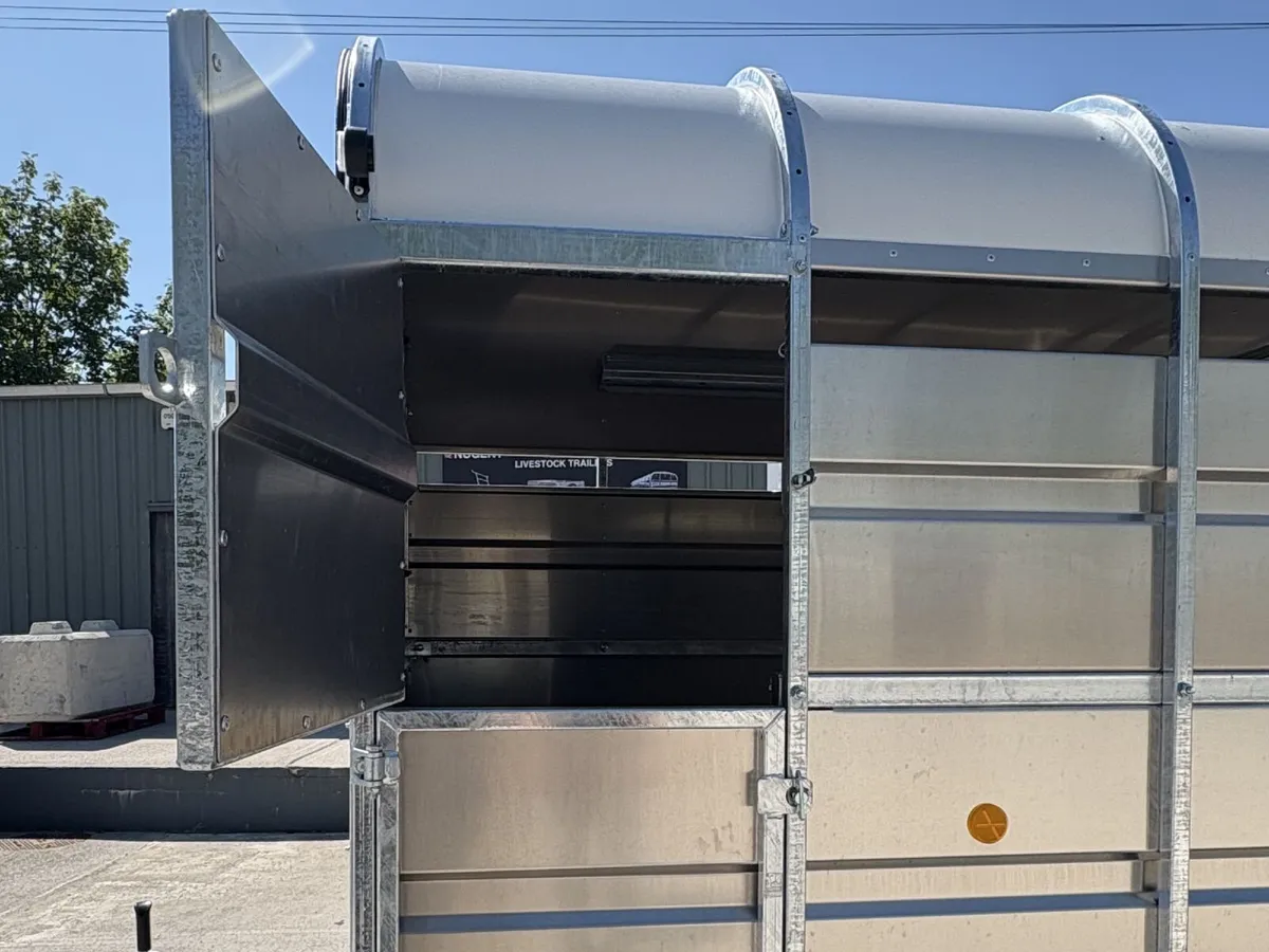 Nugent Livestock Cattle 14ft x 6ft Tri Axl Trailer - Image 2