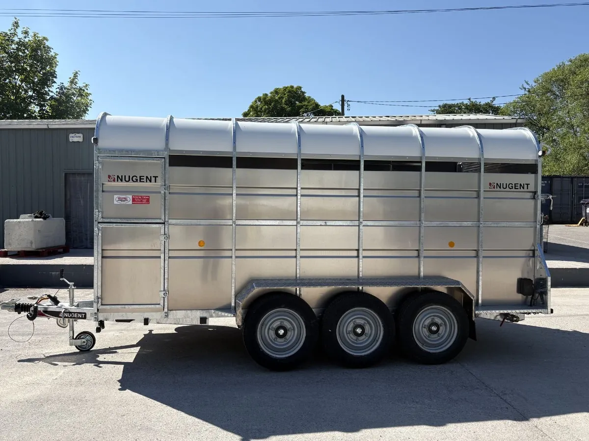 Nugent Livestock Cattle 14ft x 6ft Tri Axl Trailer - Image 4