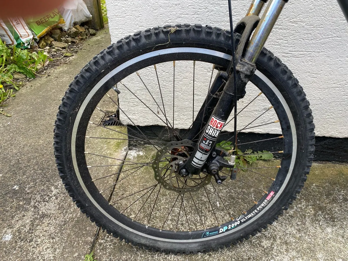 Adult bike - Image 2