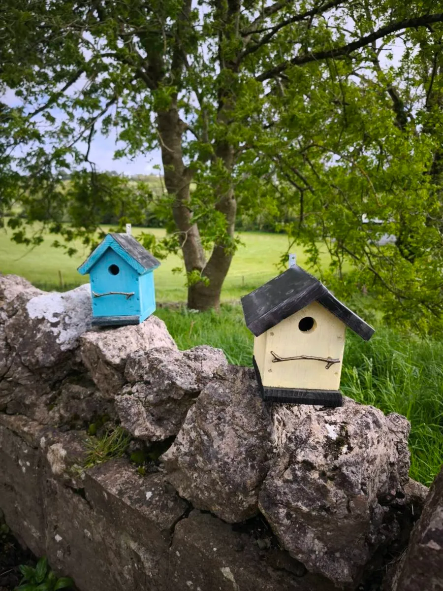 Bird house - Image 4