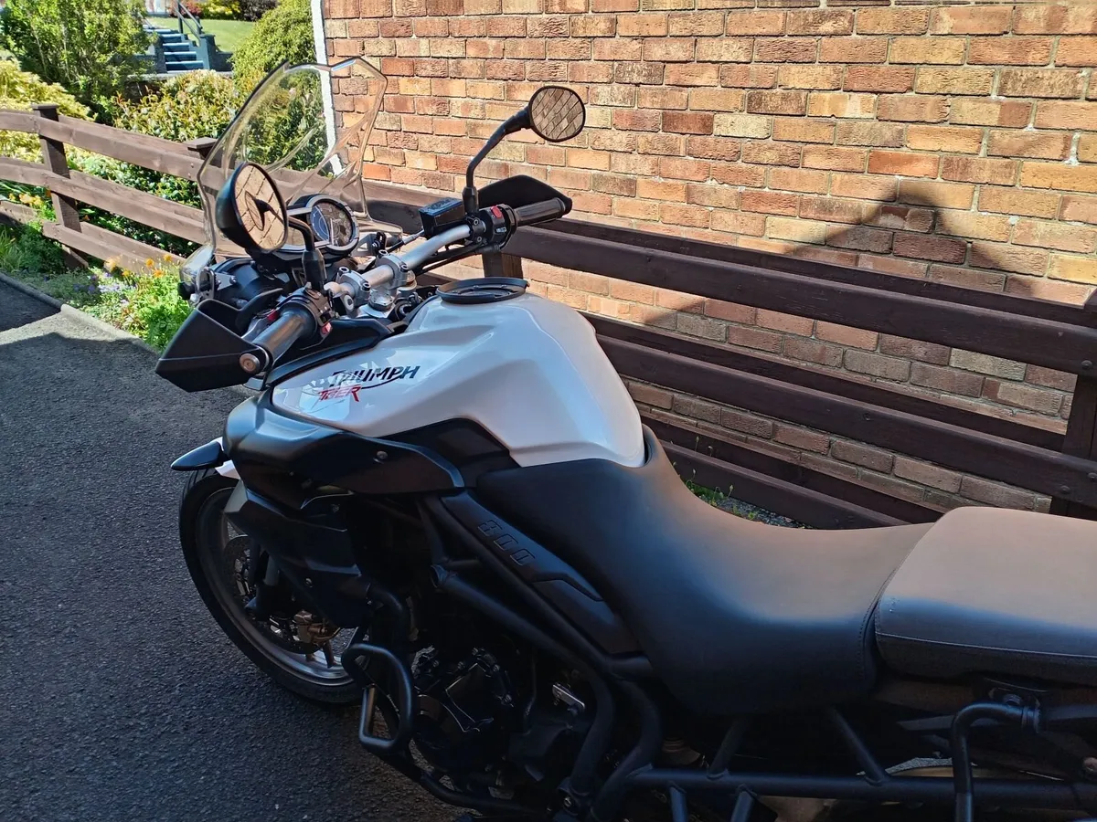 Triumph Tiger 2013 ABS - Image 2