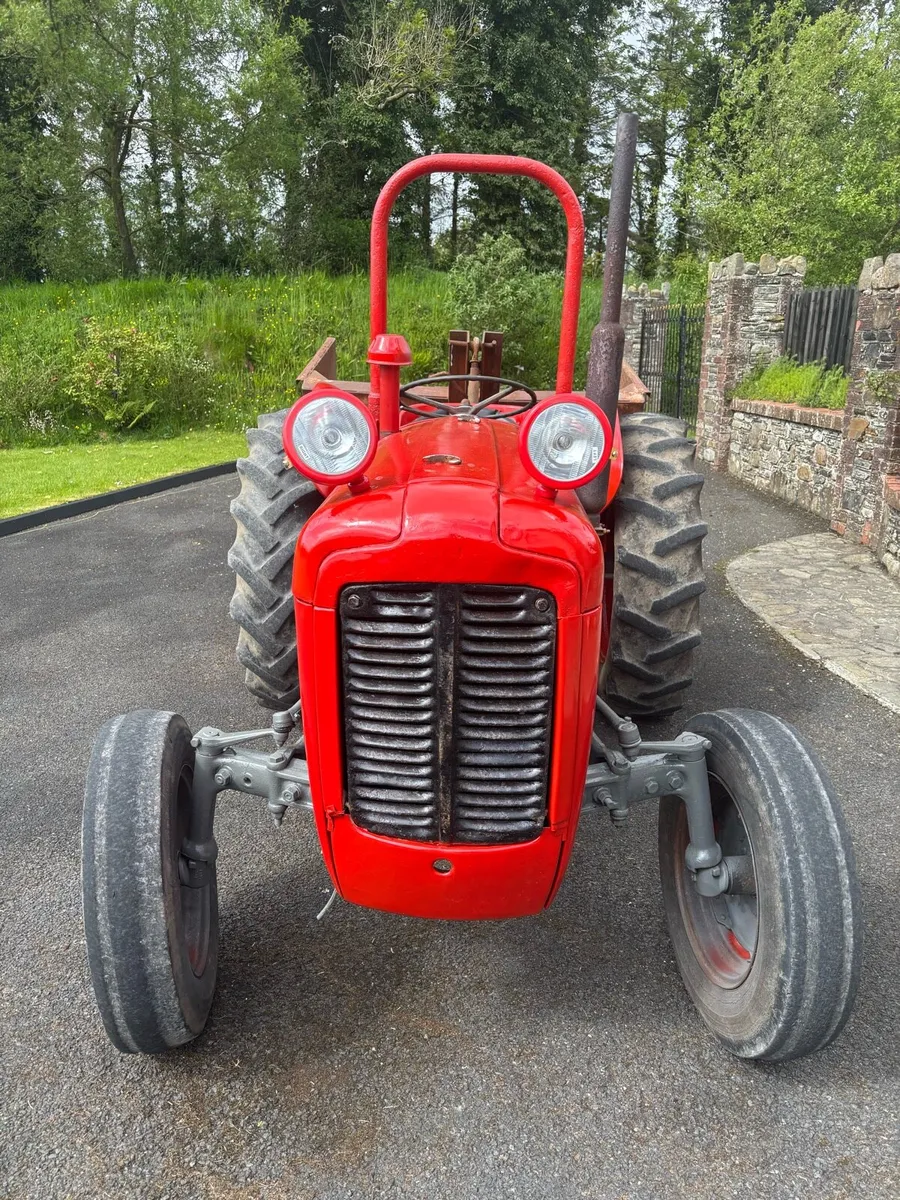 Massey Ferguson 35x - Image 4