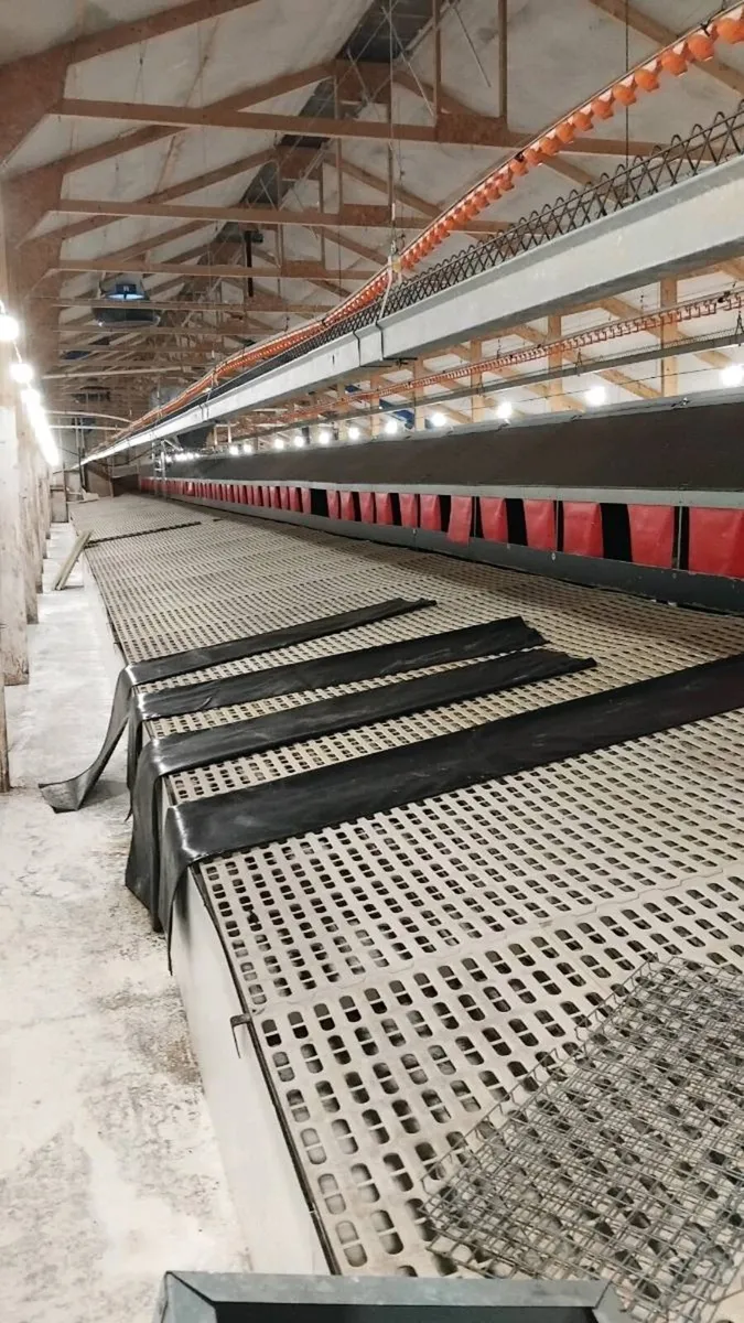 Poultry equipment - Image 1