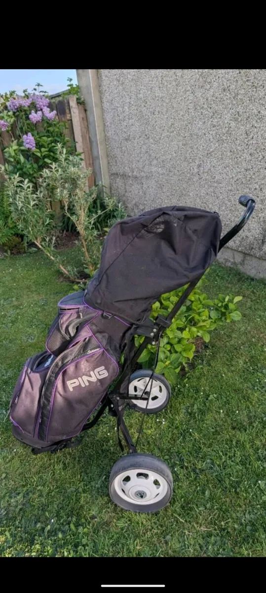 Lovely set of women's or mens Golf clubs - Image 1