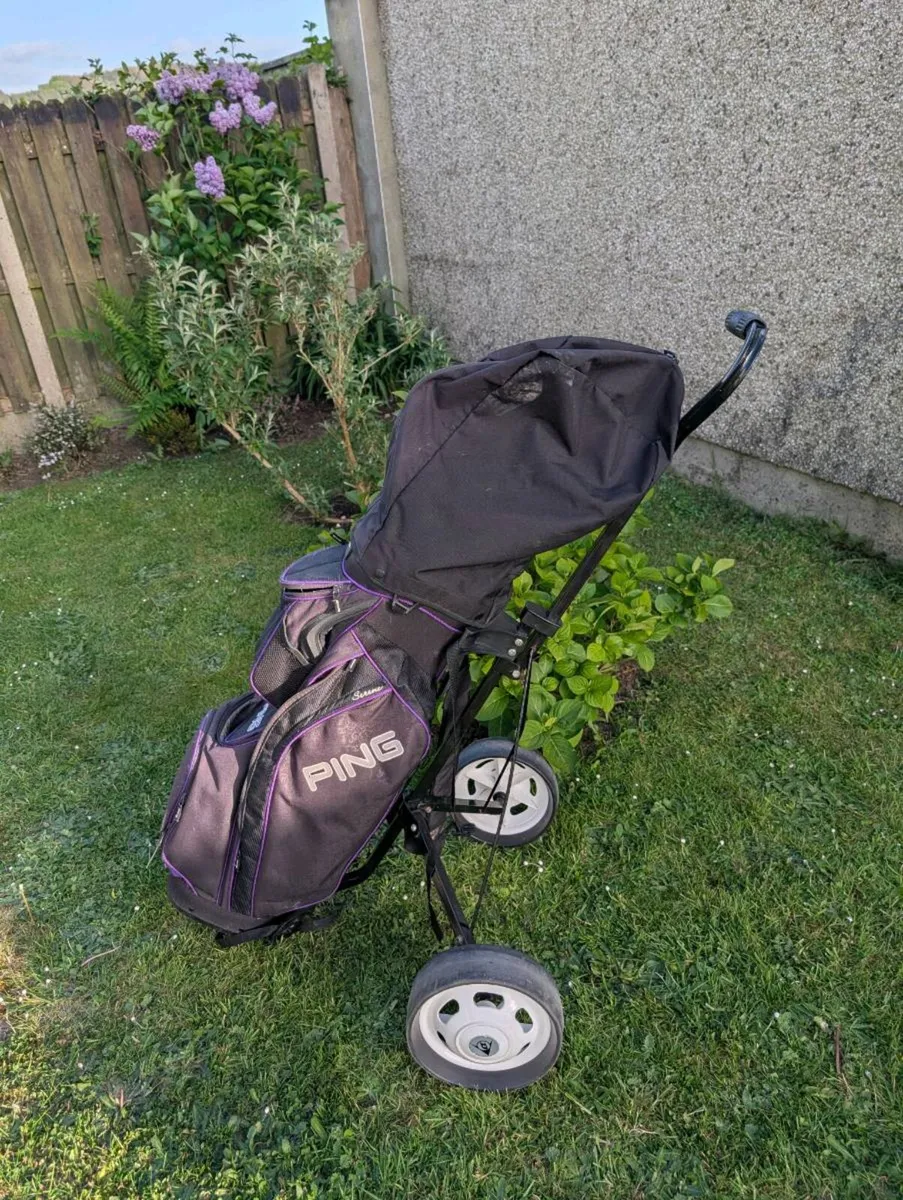Lovely set of women's or mens Golf clubs - Image 2