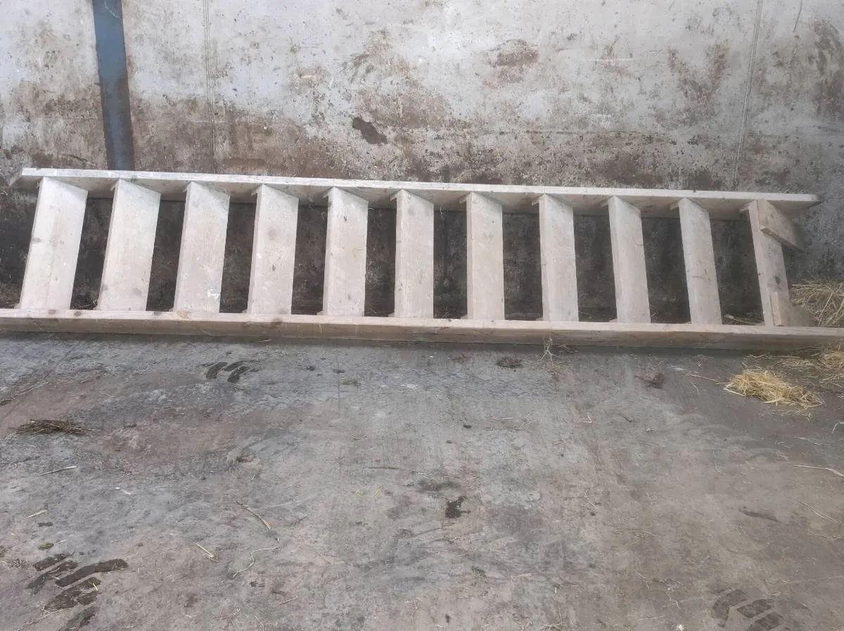 Builders stairs