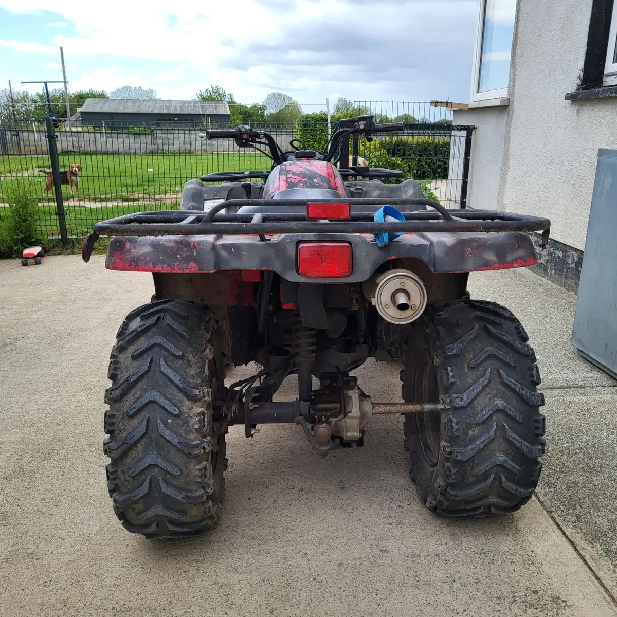 Quad
