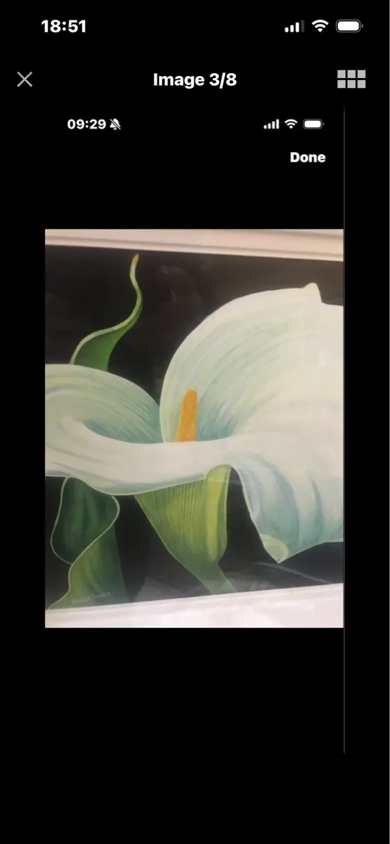 Arum Lily Original Painting - Image 3