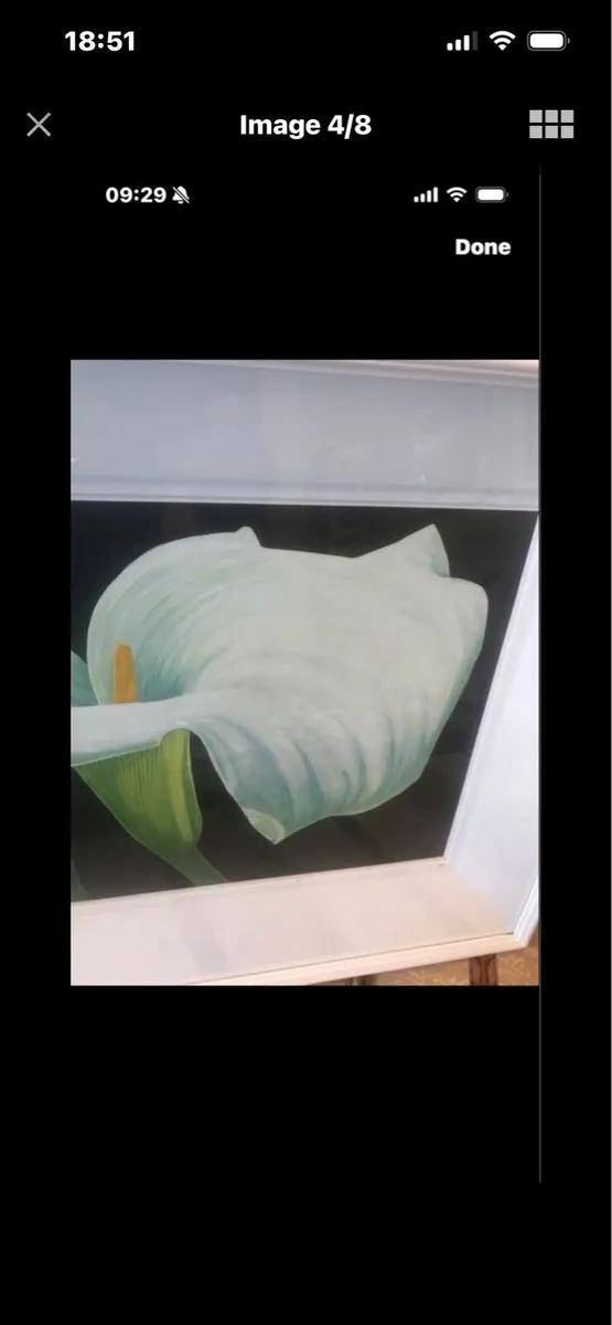 Arum Lily Original Painting - Image 4