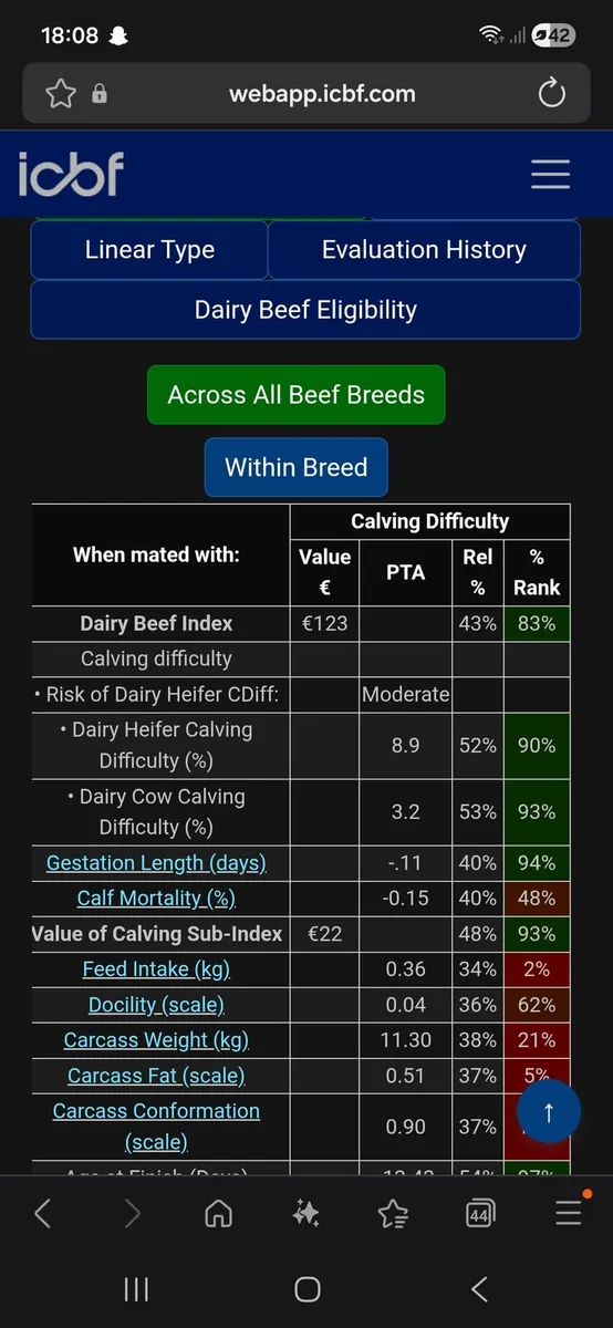 PBR Angus Bulls - Image 4