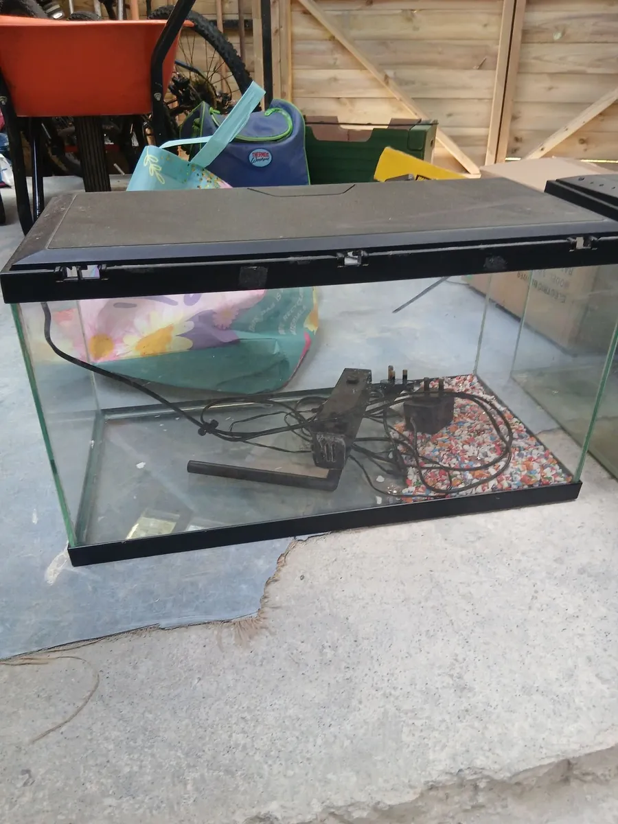 Fish tank - Image 1