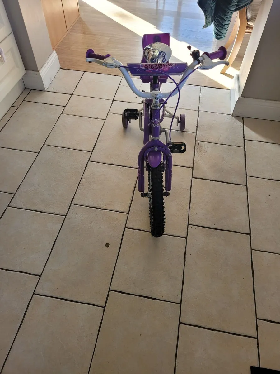 Sweet 16" Bike - Image 4