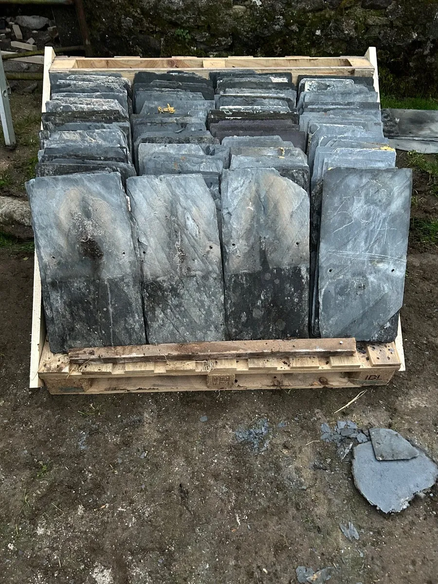 Blue Bangor Slates - Image 1