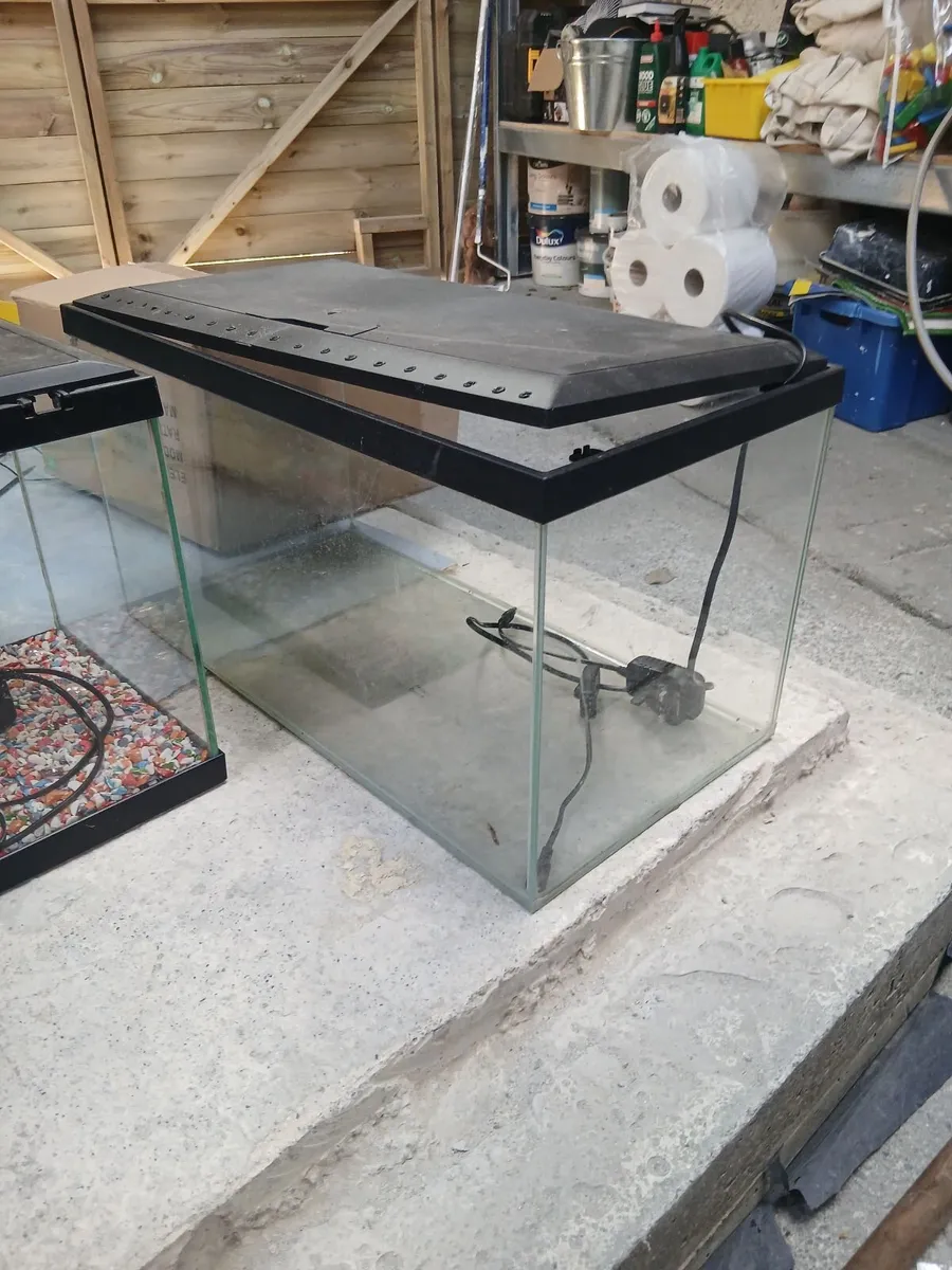 Fish tank - Image 4