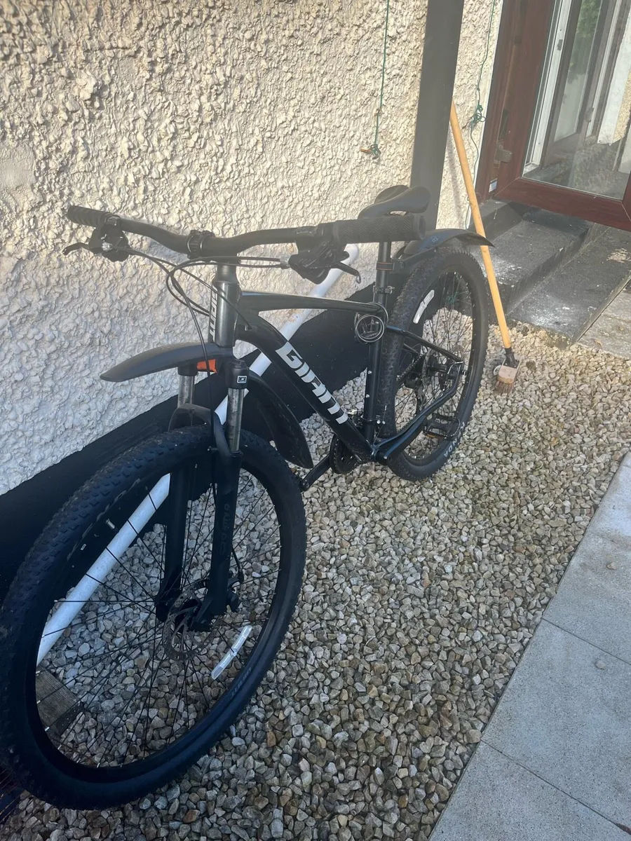 Mountain Bike - Image 3