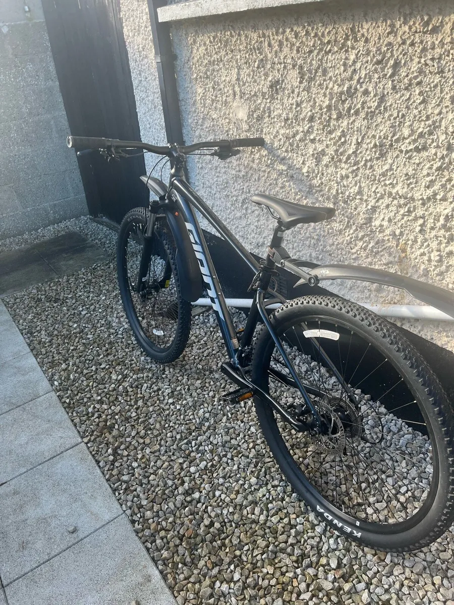Mountain Bike - Image 4