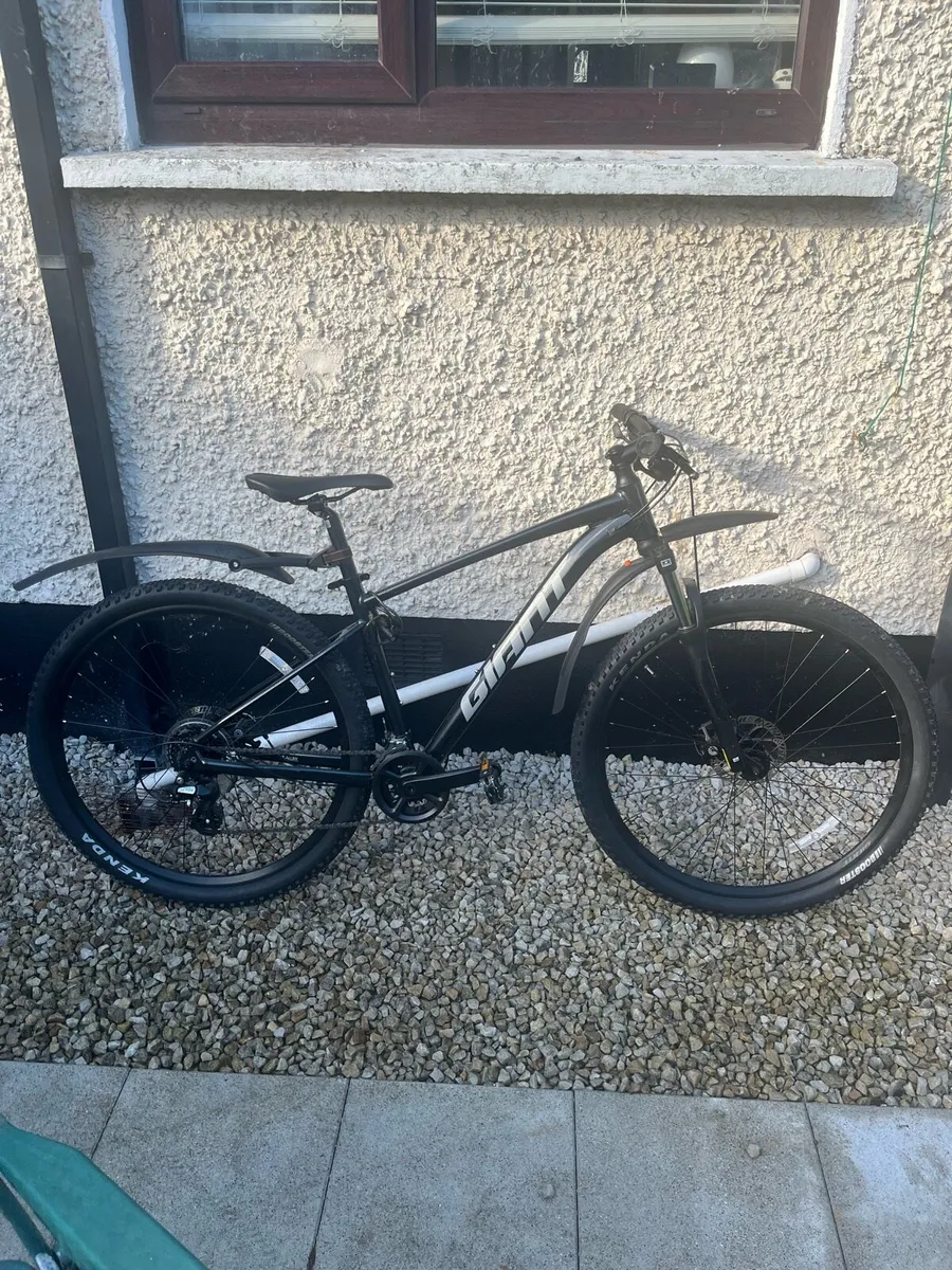 Mountain Bike - Image 1