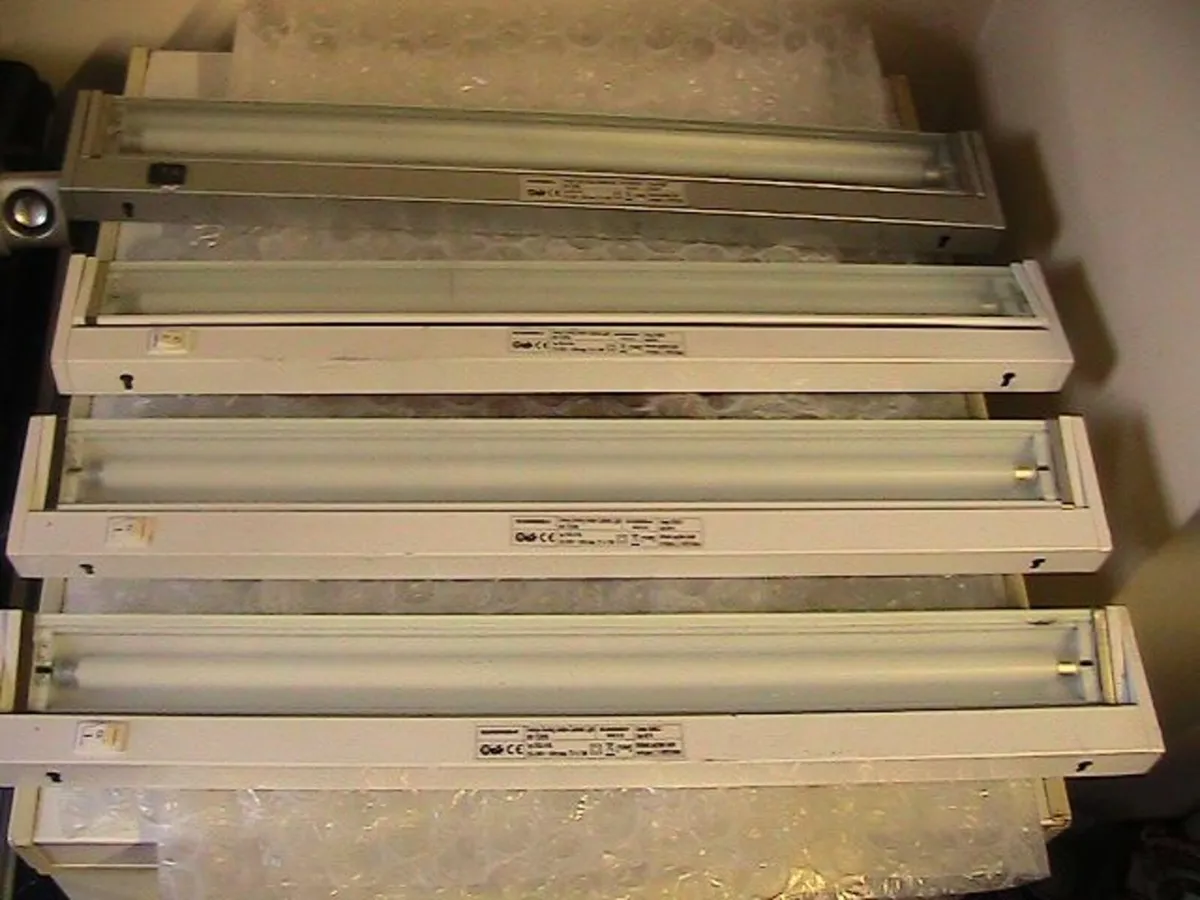 fluorescent Lights - Image 4