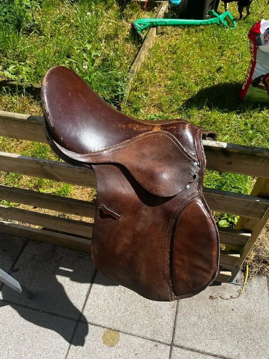 saddle only left - Image 4