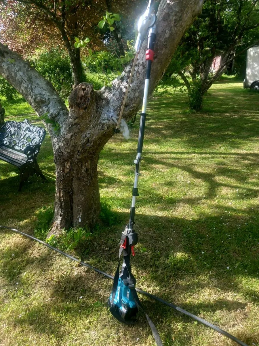 Makita cordless polesaw - Image 1