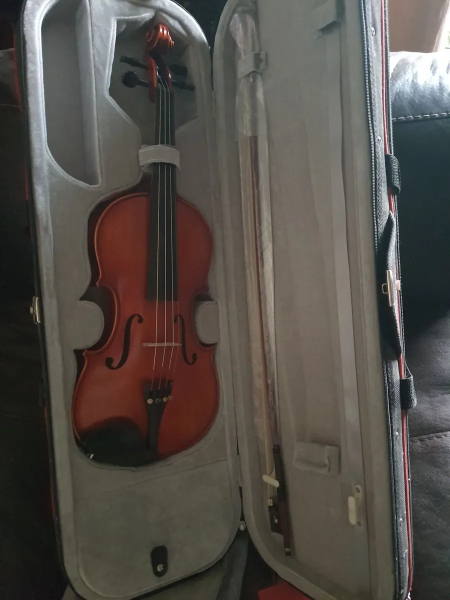 Violin