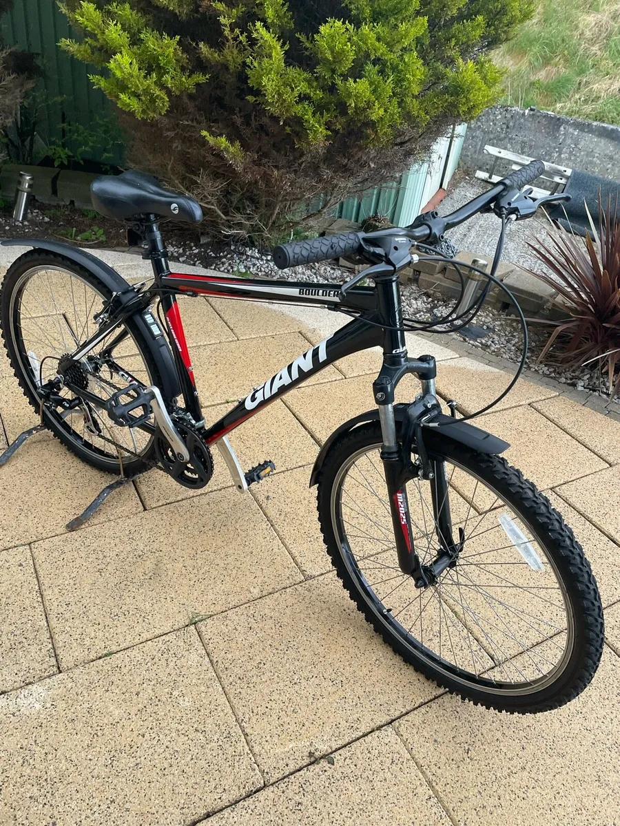 Giant Boulder mountain bike - Image 1
