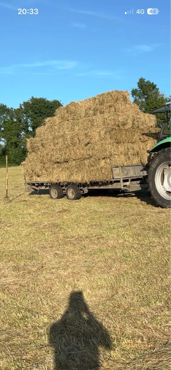 July square hay bales - Image 1