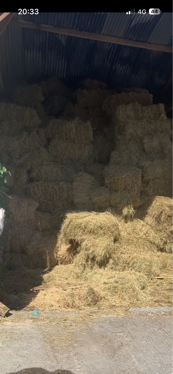 July square hay bales - Image 2