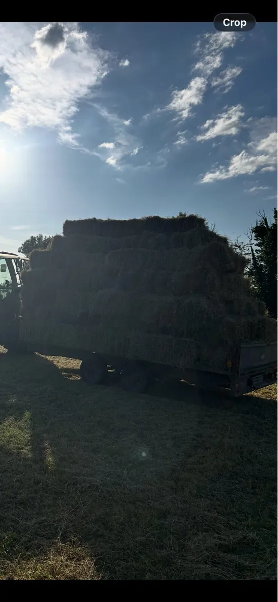 July square hay bales - Image 3