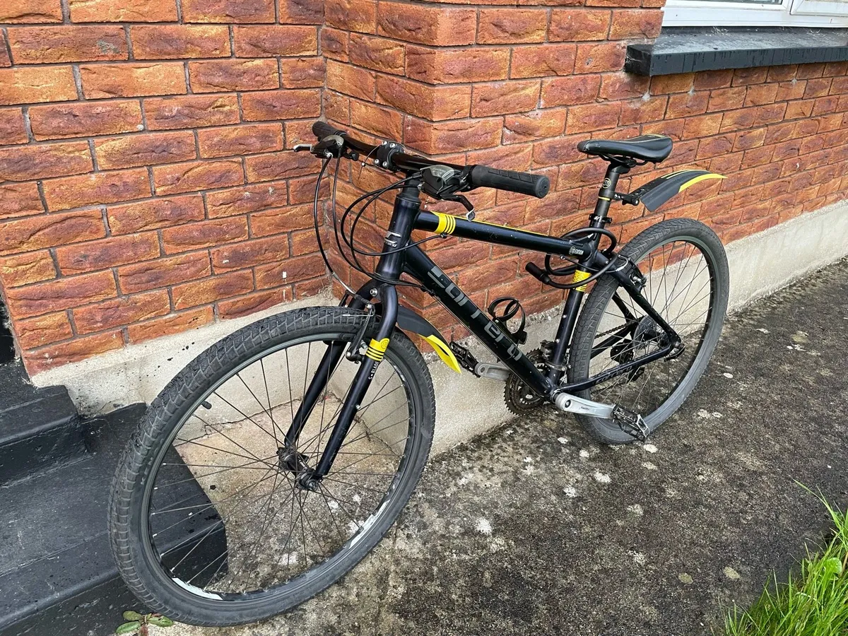 Carrera Mountain bike