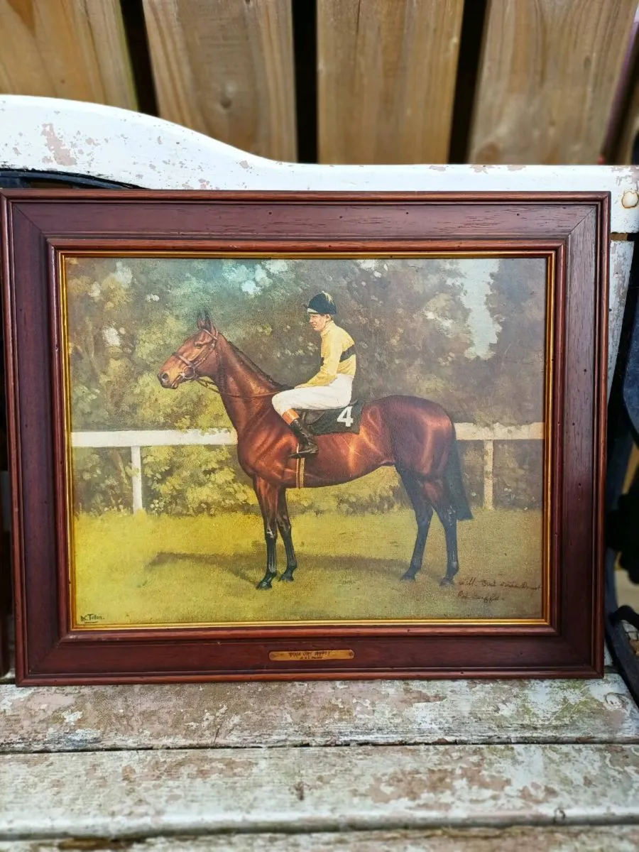 Vintage Shergar & Arkle Horse Racing Pictures - Image 3