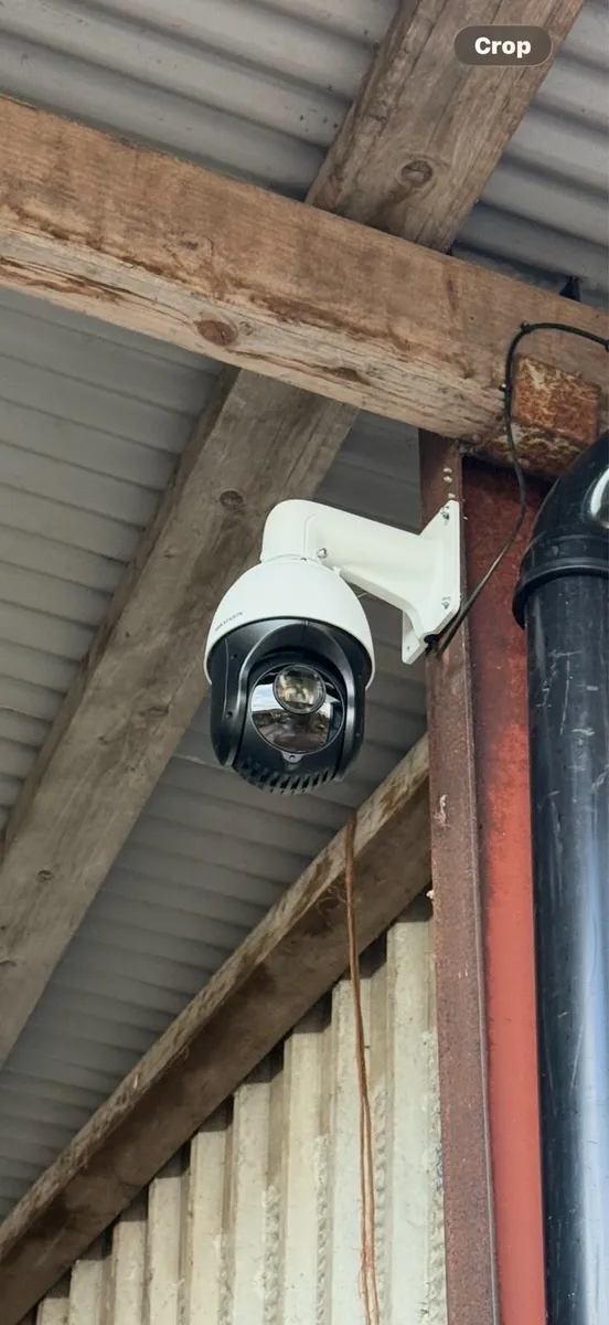 Livestock Cameras – Calving, Foaling & Lambing - Image 1