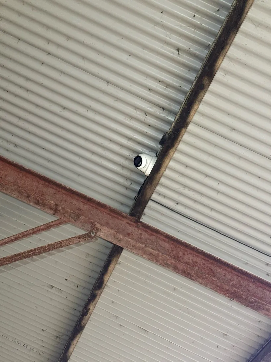 Livestock Cameras – Calving, Foaling & Lambing - Image 3